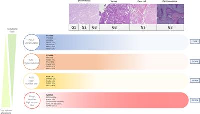 Adjuvant Treatment Recommendations in Early-Stage Endometrial Cancer: What Changes With the Introduction of The Integrated Molecular-Based Risk Assessment